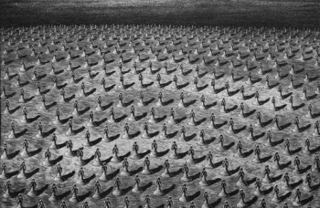 Espacio Para Meditar